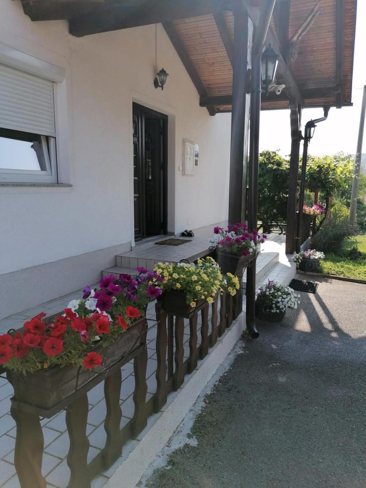 Отель House Viktoria Селиште-Дрежничко Экстерьер фото