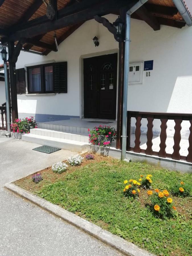 Отель House Viktoria Селиште-Дрежничко Экстерьер фото