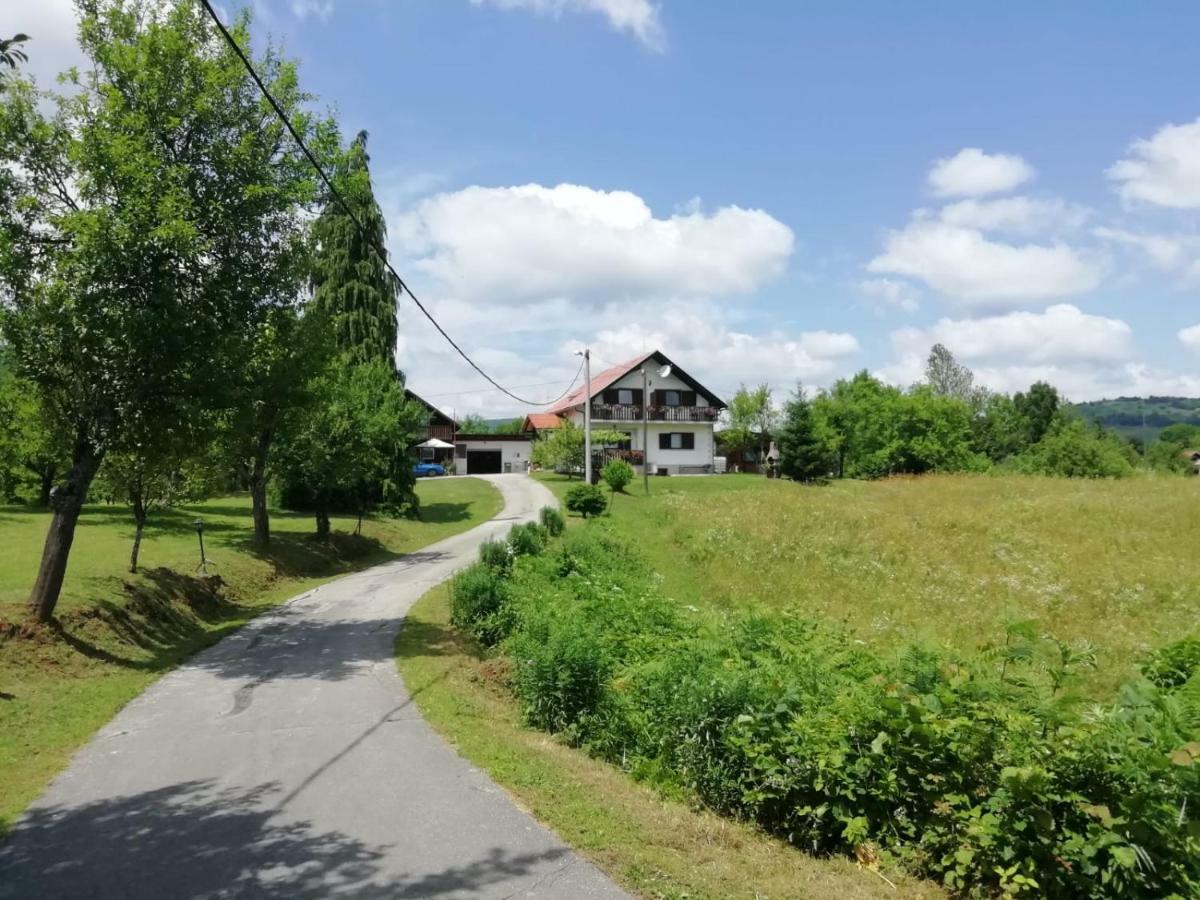 Отель House Viktoria Селиште-Дрежничко Экстерьер фото