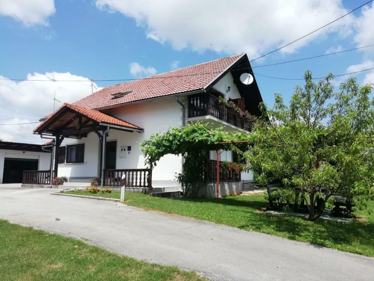 Отель House Viktoria Селиште-Дрежничко Экстерьер фото
